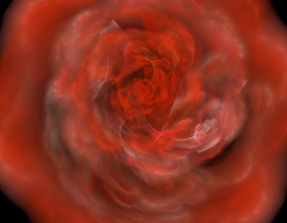 Blurred Rose