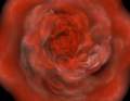 Blurred Rose